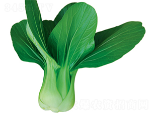 �|��18̖-�ײ˷N��-���߷N��