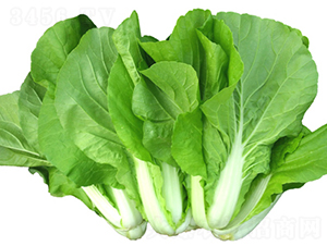 �ٵ�-�ײ˷N��-���߷N��