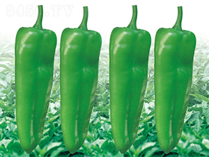 �K��15̖-�����N��-���߷N��