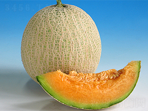 �t����-��ϷN��-���߷N��