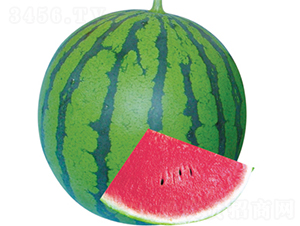 �翹����-���ϷN��-���߷N��