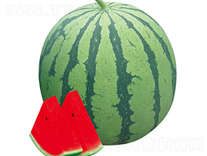 ���84-24-���ϷN��-���߷N��