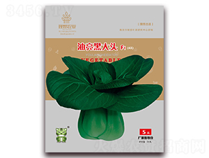 �����ڴ��^-�๣�˷N��-�����r(n��ng)�I(y��)