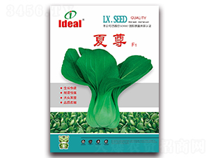 ����-�๣�˷N��-�����r(n��ng)�I(y��)