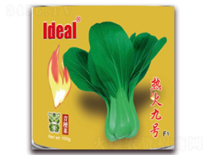 ����̖-�๣�˷N��-�����r(n��ng)�I(y��)