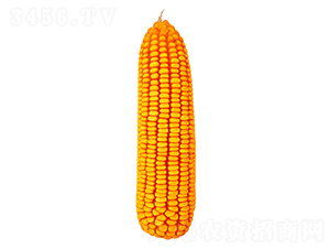 �F��358-���׷N��-�F�зN�I(y��)