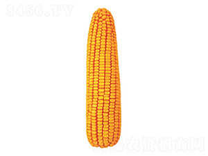 �F��27̖-���׷N��-�F�зN�I(y��)