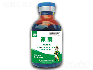 �������Ƅ�-����-�{(l��n)���r(n��ng)�I(y��)