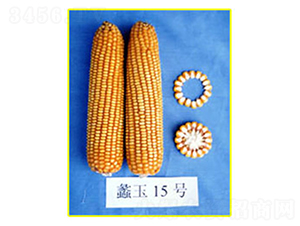 ���15̖(h��o)-���׷N��-���