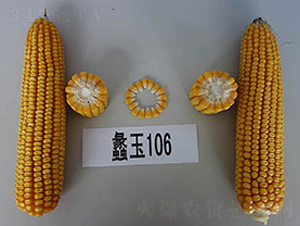 ���106-���׷N��-���