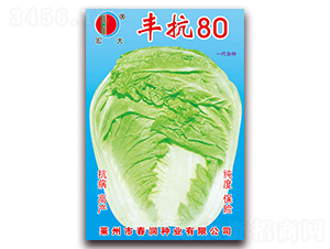 �S��80-�ײ˷N��-�����N�I(y��)