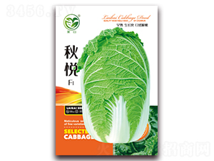 �F1-�ײ˷N��-�����N�I(y��)