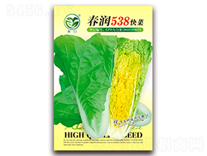 ����538���-�ײ˷N��-�����N�I(y��)