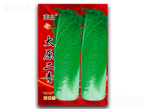 �˰�̫ԭ����-�ײ˷N��-�����N�I(y��)