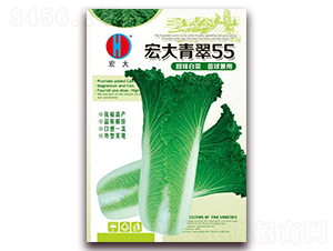 ������55-�ײ˷N��-�����N�I(y��)