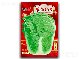 �˰�158-�ײ˷N��-�����N�I(y��)