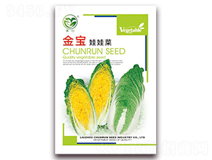 �������޲�-���޲˷N��-�����N�I(y��)