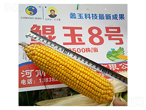 �H��8̖-���׷N��-���