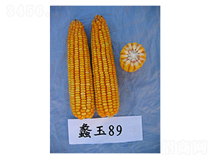 ���89-���׷N��-���