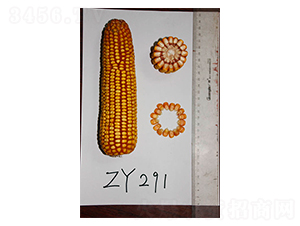 ���69-���׷N��-���