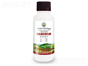 �����ɫ������-�������