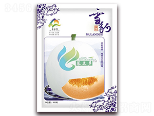 ѩ��-��ϷN��-Ľ�m��