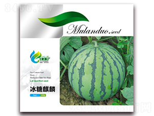 ��������-���ϷN��-Ľ�m��