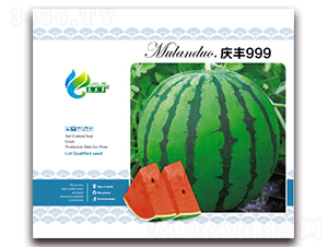 �c�S999-���ϷN��-Ľ�m��