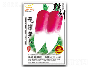 �����}��-�}���N��-(li��n)��(chu��ng)