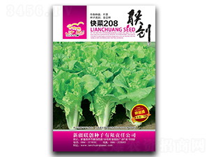 ���208-��˷N��-(li��n)��(chu��ng)