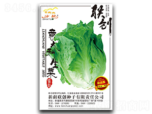 ���������-���˷N��-(li��n)��(chu��ng)