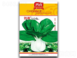 �F�������-�ײ˷N��-����