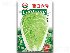 ������̖-�ײ˷N��-����