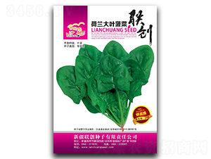 ���m���~����-���˷N��-(li��n)��(chu��ng)