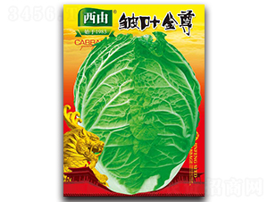 ���~����-�ײ˷N��-����