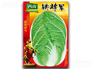 �F��܊-�ײ˷N��-����