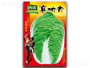 �湦��-�ײ˷N��-����