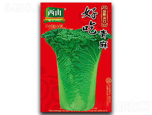 �ó�����-�ײ˷N��-����