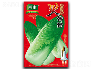 �����-�ײ˷N��-����