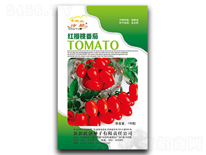 �t����ެ��-���ѷN��-(li��n)��(chu��ng)