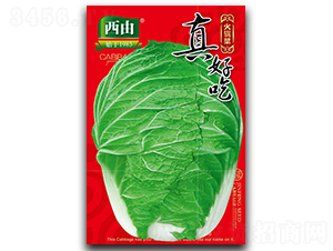 ��ó�-�ײ˷N��-����