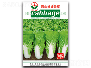 �������޿��-�ײ˷N��-����