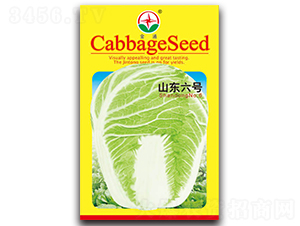 ɽ�|��̖-�ײ˷N��-����