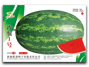 ɳ�1̖(h��o)-���ϷN��-(li��n)��(chu��ng)