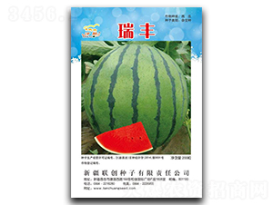 ���S-���ϷN��-(li��n)��(chu��ng)