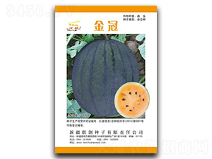 ���-���ϷN��-(li��n)��(chu��ng)