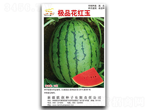 �OƷ���t��-���ϷN��-(li��n)��(chu��ng)