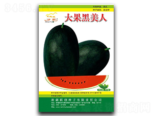 ���������-���ϷN��-(li��n)��(chu��ng)