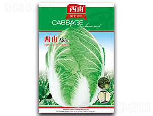 ����A85-�ײ˷N��-����