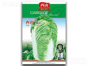 ����A65-�ײ˷N��-����